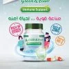 IMMUNE SUPPORT (GREEN AND LEAN) 30 CAP - صيدلية سيف اون لاين